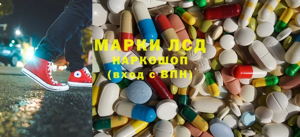 прущие грибы Бердск