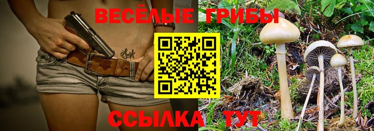 Псилоцибиновые грибы ЛСД Удомля