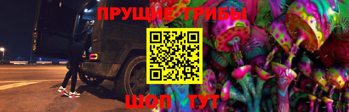 хочу   Псилоцибиновые грибы прущие грибы  Удомля  Псилоцибиновые грибы мухоморы 